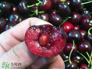 車?yán)遄恿验_能吃嗎？車?yán)遄訛槭裁磿?huì)裂開？