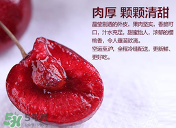 車?yán)遄幽睦锂a(chǎn)的最好？車?yán)遄赢a(chǎn)地在哪里？