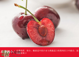 車?yán)遄幽睦锂a(chǎn)的最好？車?yán)遄赢a(chǎn)地在哪里？