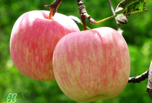 蘋果裂口怎么回事？蘋果裂口能不能吃？