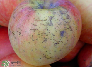 蘋(píng)果裂紋能吃嗎？蘋(píng)果裂紋是怎么回事？