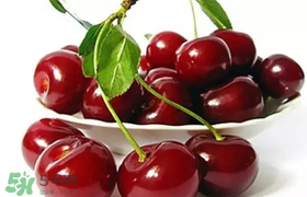 車?yán)遄涌梢詭巷w機(jī)嗎？車?yán)遄幽軒巷w機(jī)嗎？