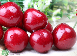 車?yán)遄涌梢詭巷w機(jī)嗎？車?yán)遄幽軒巷w機(jī)嗎？