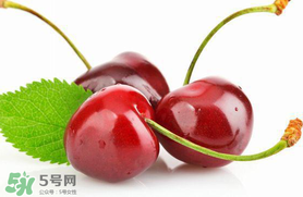 車?yán)遄涌梢詭巷w機(jī)嗎？車?yán)遄幽軒巷w機(jī)嗎？