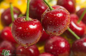 新西蘭車厘子多少錢一斤？為什么說新西蘭的車厘子是世界上最好吃的？