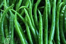 吃尖椒有什么好處？吃尖椒有身體10大好處