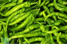 尖椒可以放冰箱保存嗎？尖椒能放冰箱冷凍嗎？