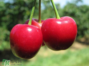 車厘子和蝦能一起吃嗎？吃完車厘子可以吃蝦嗎？