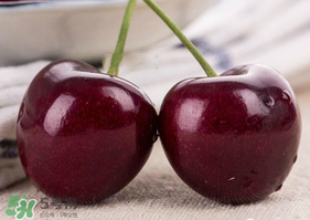 車?yán)遄邮裁磿r(shí)候吃最好？車?yán)遄右惶焓裁磿r(shí)候吃營(yíng)養(yǎng)吸收最好？