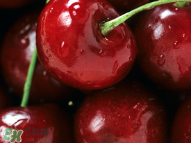 車?yán)遄邮裁磿r(shí)候吃最好？車?yán)遄右惶焓裁磿r(shí)候吃營(yíng)養(yǎng)吸收最好？