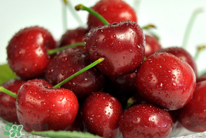 晚上吃車?yán)遄訒?huì)胖嗎？晚上吃車?yán)遄訒?huì)怎么樣？