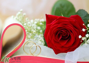 情人節(jié)送什么顏色的玫瑰花好？情人節(jié)送幾朵玫瑰花好？