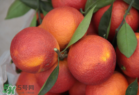 血橙多少錢一斤？四川血橙多少錢一斤？