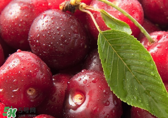 吃車(chē)?yán)遄訒?huì)便秘嗎？車(chē)?yán)遄映远嗔藭?huì)便秘嗎？