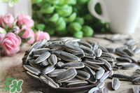 冬天吃瓜子上火怎么辦？冬天瓜子吃多了上火怎么辦？