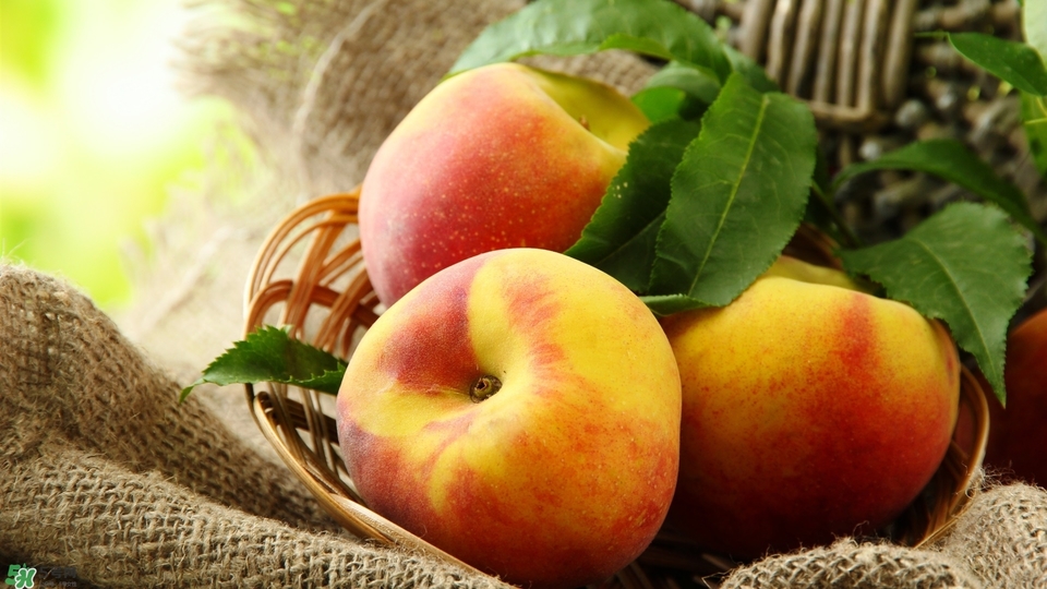 冬天蘋果太涼怎么吃？冬天蘋果太涼怎么給寶寶吃？