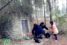 正月可以掃墓嗎？正月能不能上墳？