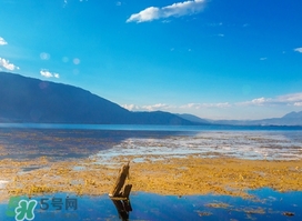 3月份去云南穿什么？三月份去云南穿什么衣服