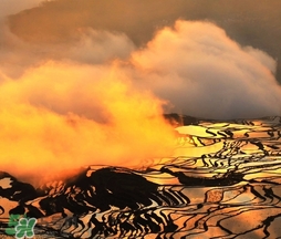 3月份去云南穿什么？三月份去云南穿什么衣服