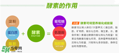 喝酵素拉肚子正常嗎？喝酵素拉肚子的原因