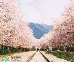 3月份去韓國(guó)穿什么？三月份去韓國(guó)穿什么衣服？