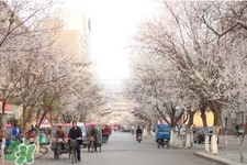 春天養(yǎng)生湯有哪些？春季養(yǎng)生喝什么湯好？