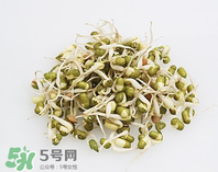 黃豆芽能做餡料嗎？黃豆芽餡包子怎么做？