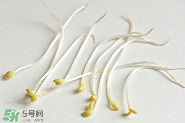 黃豆芽能做餡料嗎？黃豆芽餡包子怎么做？