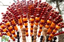 做糖葫蘆需要加添加劑嗎？做糖葫蘆用什么添加劑？