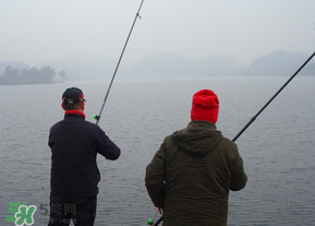 立春后能釣魚(yú)嗎？立春后好釣魚(yú)嗎？