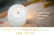 VOLUSPA香薰蠟燭推薦 voluspa香薰蠟燭好么 VOLUSPA香薰蠟燭推薦 voluspa香薰蠟燭好么