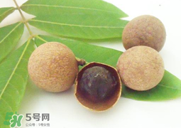 桂圓干多少錢(qián)一斤？干桂圓多少錢(qián)一斤？