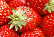 現(xiàn)摘的草莓有農(nóng)藥嗎？怎么辨別草莓打過農(nóng)藥？