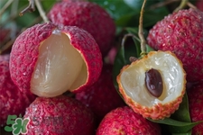 吃荔枝會酒駕嗎？為什么吃荔枝會酒駕？