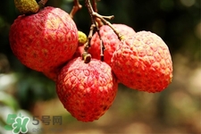 吃荔枝會過敏嗎？吃荔枝過敏怎么辦？