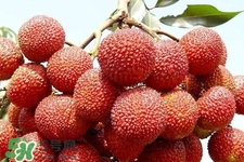 孕期吃荔枝會(huì)流產(chǎn)嗎？孕婦吃荔枝會(huì)好嗎？