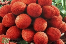 孕期吃荔枝會(huì)流產(chǎn)嗎？孕婦吃荔枝會(huì)好嗎？