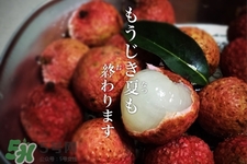 坐飛機(jī)能帶荔枝嗎？荔枝可以帶上飛機(jī)嗎？