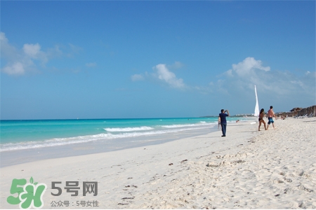 3月份適合去哪里旅游？三月份去哪里旅游好？