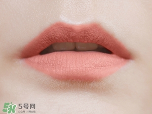 植村秀豆沙色口紅色號是幾號色？植村秀豆沙色口紅試色