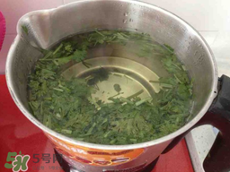 香菜煮水洗腎是真的嗎？香菜煮水洗腎是真的嗎