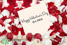 情人節(jié)送百合什么意思？情人節(jié)送百合有什么含義？