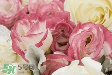 七夕情人節(jié)有必要送花嗎？情人節(jié)為什么要送花？