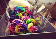 roseonly鮮花多少錢？roseonly永生花多少錢？