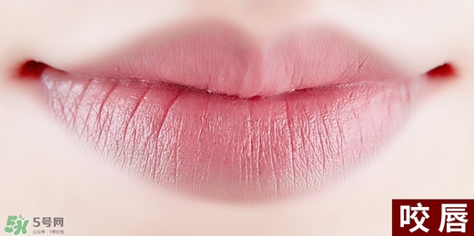 得鮮rd01豆沙色多少錢？the seam得鮮rd01試