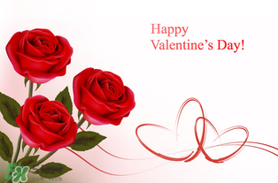 和女朋友的第一個情人節(jié)怎么過？和女朋友的第一個情人節(jié)怎么過比較浪漫？