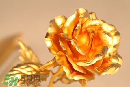 情人節(jié)可以送金玫瑰嗎？情人節(jié)送金玫瑰好嗎？