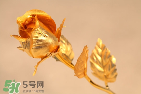 情人節(jié)可以送金玫瑰嗎？情人節(jié)送金玫瑰好嗎？