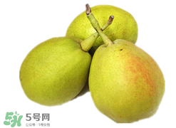 香梨多少錢一斤？香梨怎么挑選？