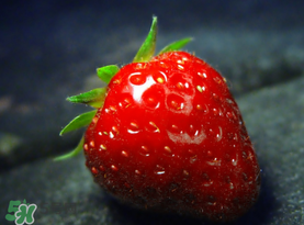 小孩多吃草莓好嗎？小孩可以摘草莓嗎？